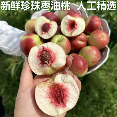 现摘新鲜小油桃珍珠枣油桃