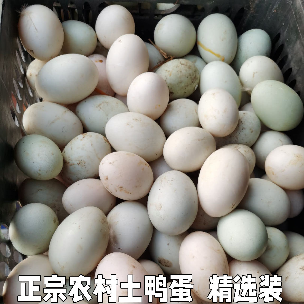 湖北农家新鲜鸭蛋正宗青皮散养