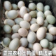 湖北农家正宗农家生鲜青皮壳散养鸭蛋30枚土鸭蛋新鲜生鸭蛋土鸭蛋