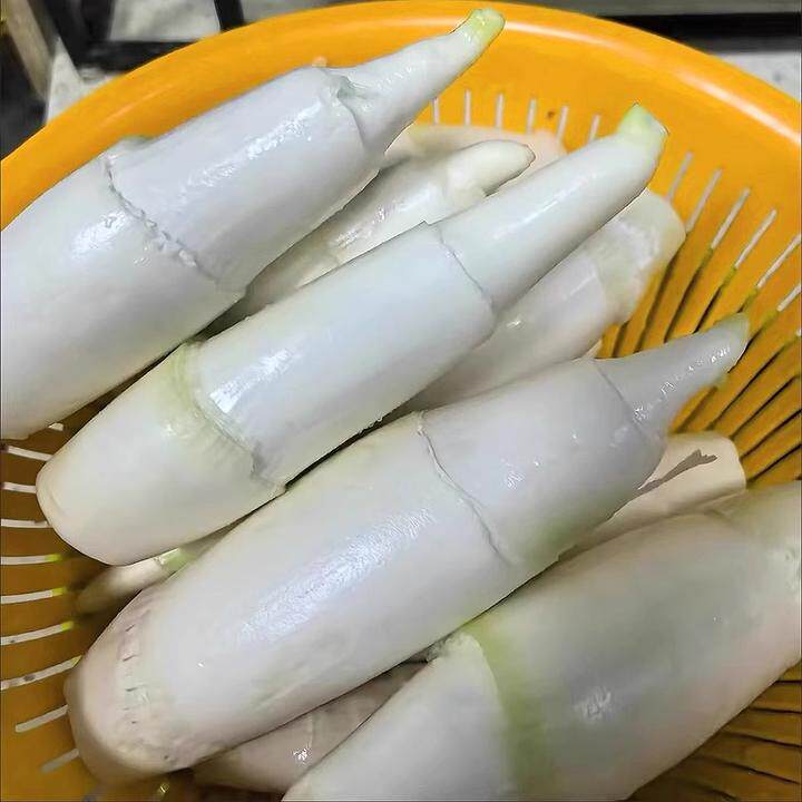 茭白笋时令新鲜蔬菜茭白农家高笋鲜嫩高山蔬菜现采加冰发货