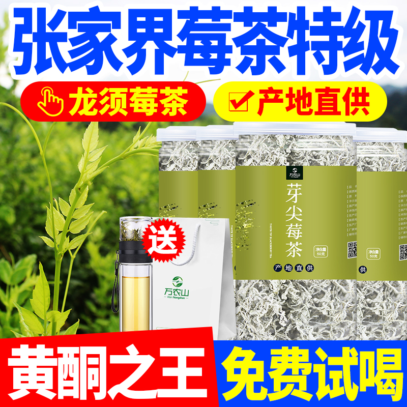 莓茶张家界特级野生茶芽尖咽喉