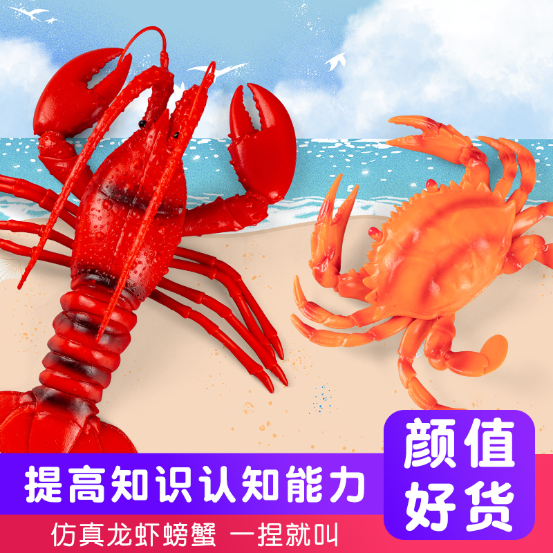 仿真海洋动物儿童认知模型