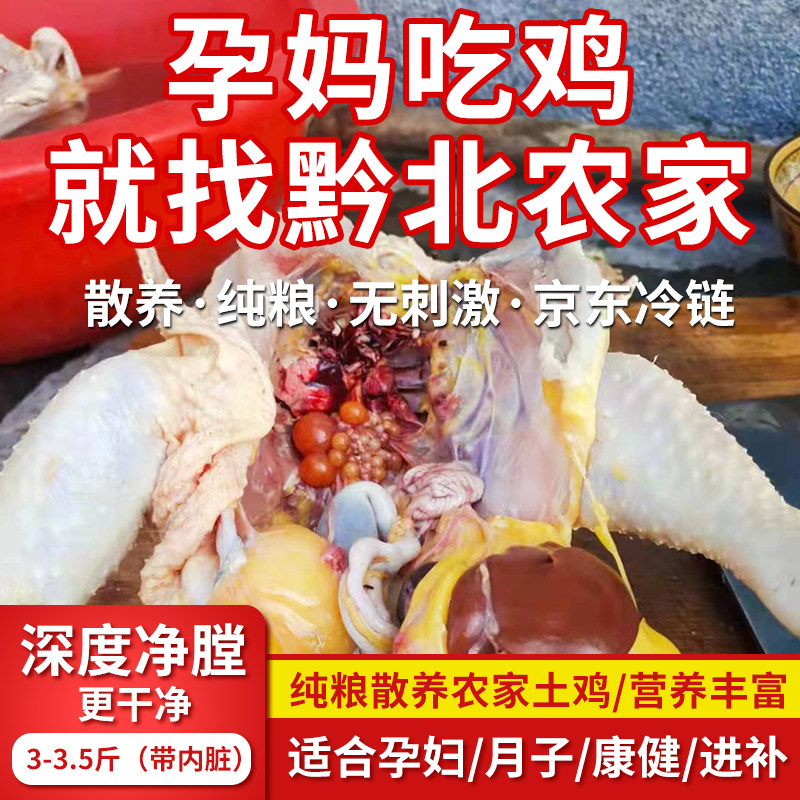 土鸡贵州散养农家整草鸡老母鸡散养大公鸡跑山鸡农村现杀新鲜