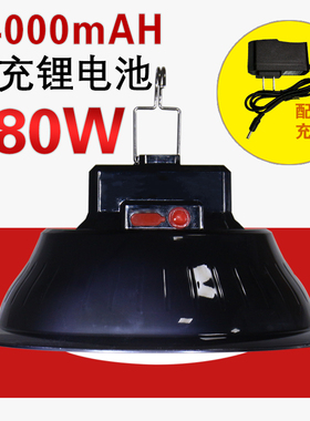 泰中星180W充电式夜市摆摊节能灯 无极调光露营野营灯 led球灯泡