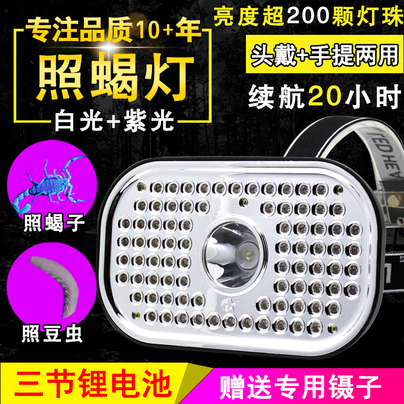头戴式蝎子灯紫光灯泰中星