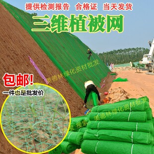 两三层护坡三维植被网边坡固土工网垫绿化河道防护加筋三维网植草