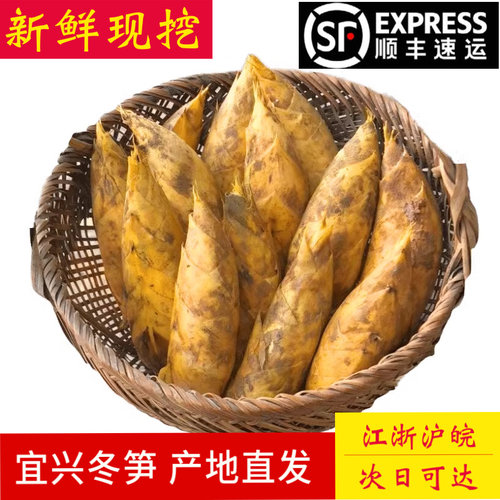 现挖现发宜兴冬笋顺丰包邮镓荣