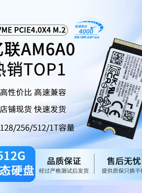 笔记本固态硬盘 AM620 AM630 AM6A0 AM6B1 512G NVME m2242拆机