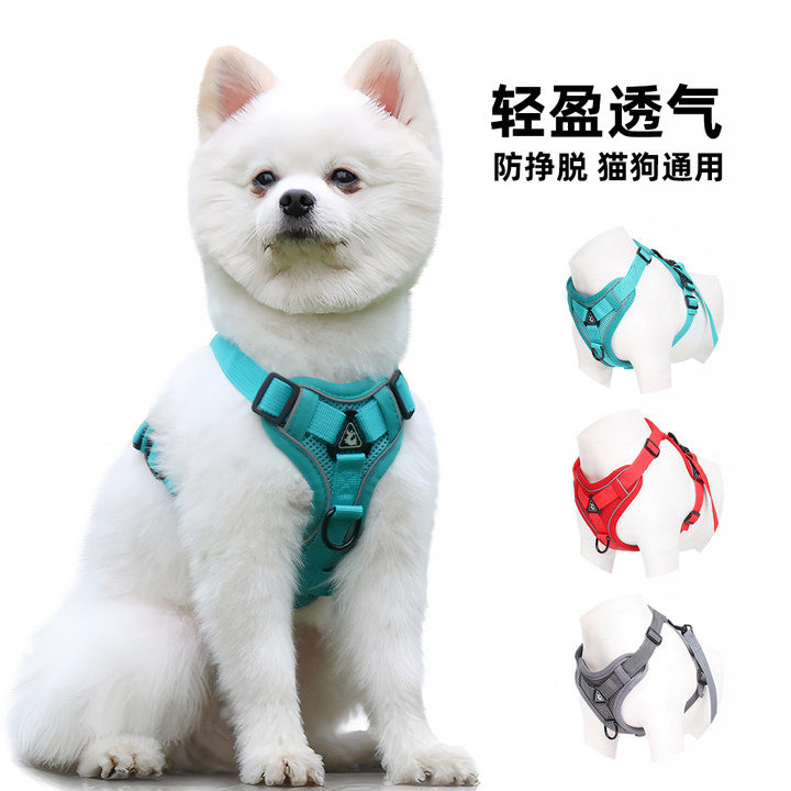 猫狗通用宠物牵引绳反光