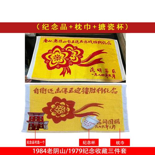 1979对越反击战纪念品章