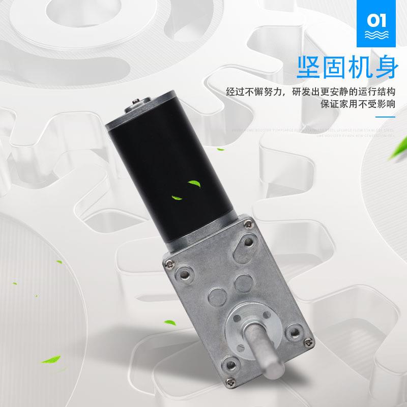 5840-31ZY 蜗轮蜗杆减速电机 螺杆电机 M8螺杆轴 12v24V自锁电机