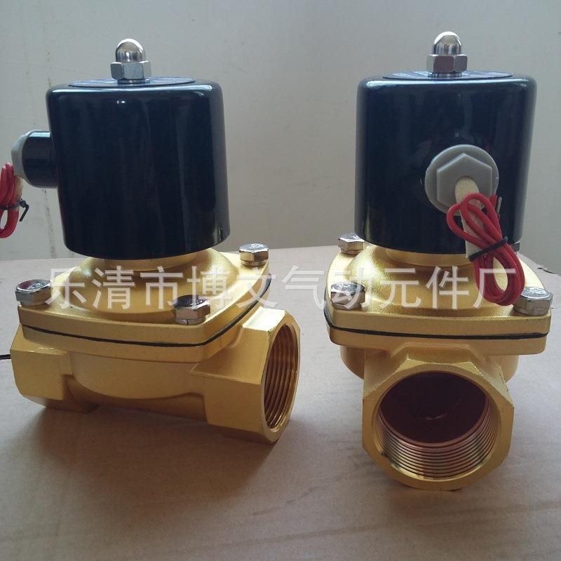 DN50 2寸电磁阀水阀气阀管道阀门 2W500-50 全铜常闭220v24v