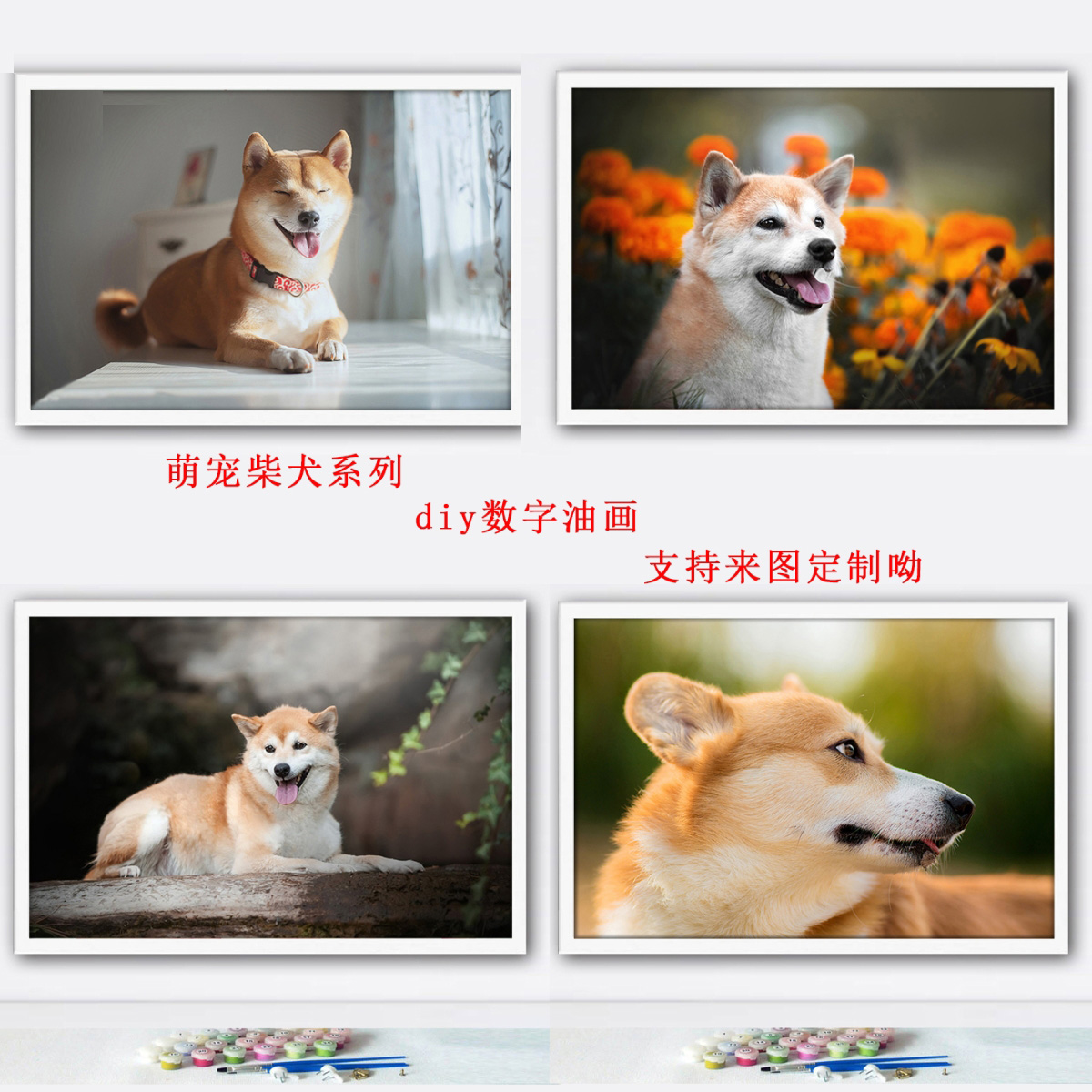 萌宠狗狗柴犬diy数字油画 手绘填色丙烯油彩画 手工画动物装饰画图片