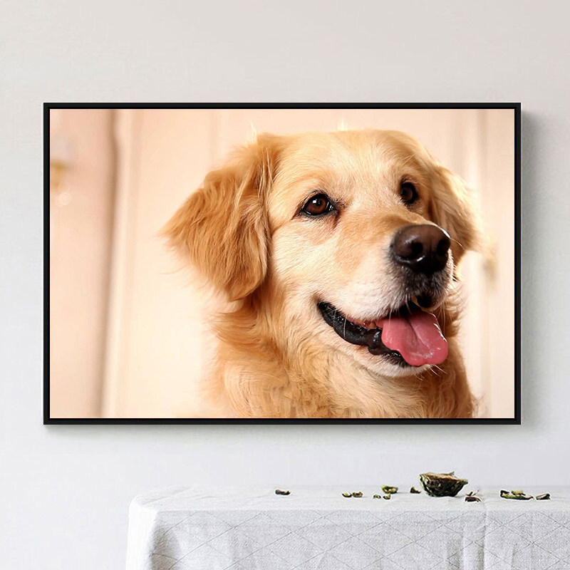 金毛萌宠狗狗diy数字油画 手绘填色油彩画动物涂鸦画手工创意礼物