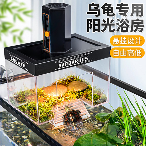 乌龟缸壁挂晒背爬台高水位造景