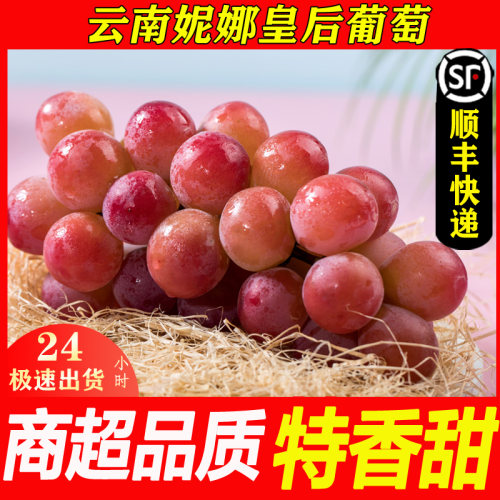 顺丰葡萄鲜果翠优惠大促