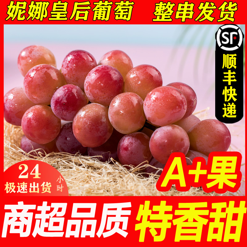 顺丰葡萄鲜果翠优惠大促