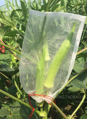 防鸟袋 防虫网 保护果子套袋 防虫子网袋 浸种袋 尼龙滤网
