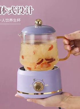 映见养生壶mini家用多功能烧水壶电炖盅小型办公室煮花茶壶烧水杯