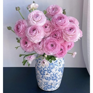 花叶春蝴蝶洋牡丹鲜花速递云南昆明办公室插花水养真花培鲜切花