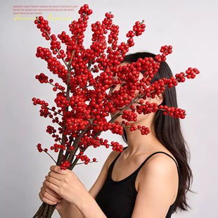 北美冬青红果鲜枝银柳年宵花卉绿植室内水培植物鲜花切枝盆栽真花