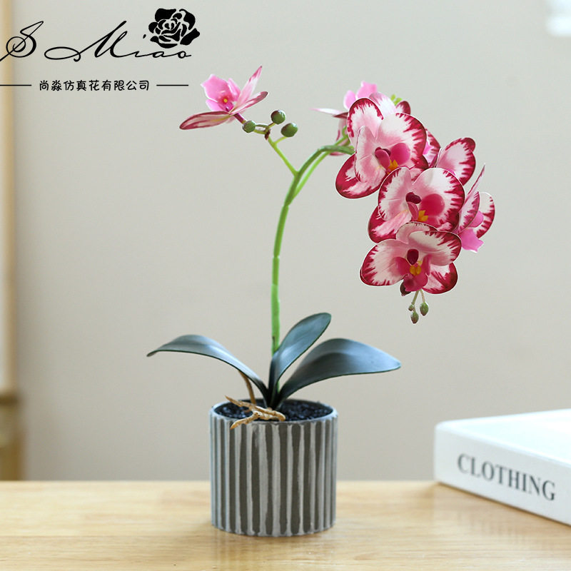 严选假花蝴蝶兰盆景仿真