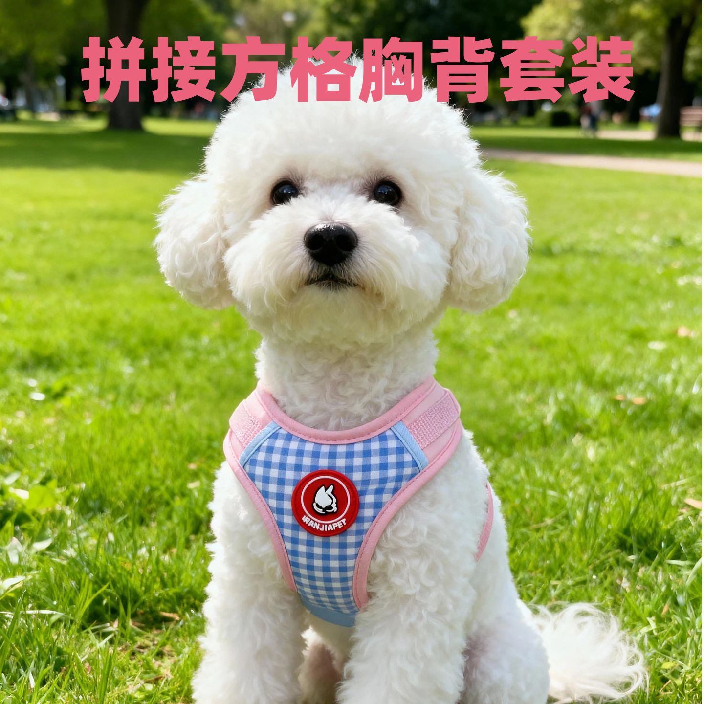 狗狗外出胸背带比熊泰迪