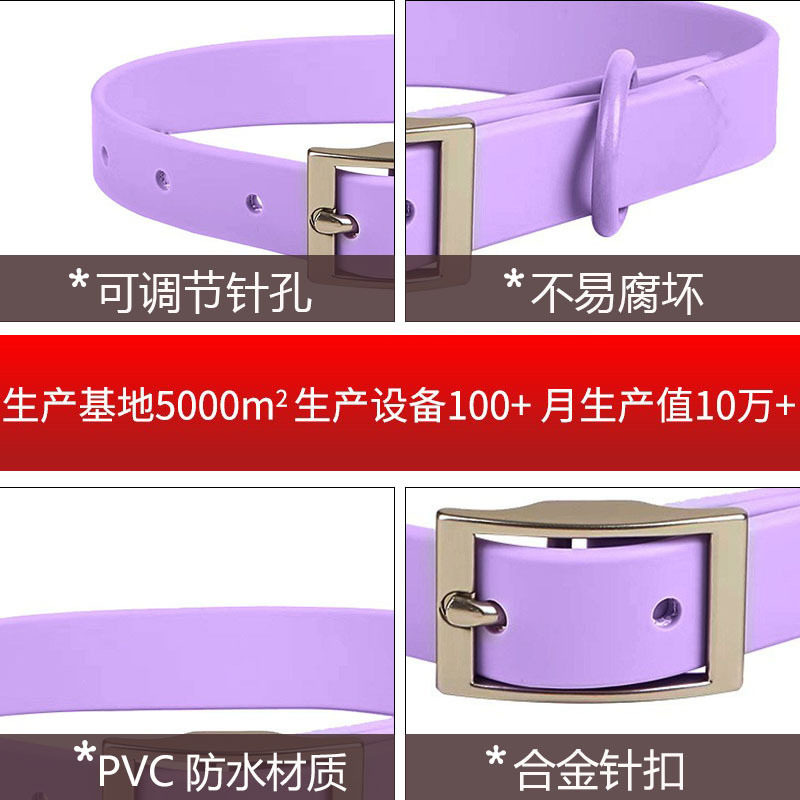 PVC四件套狗胸背带套装防