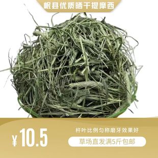 包邮 5斤 满 25年新晒干提摩西草兔子龙猫豚鼠荷兰猪饲料一袋一斤装