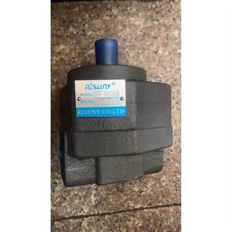 RISUNY现货齿轮泵BBy-B80N2 品质现货 液压油泵