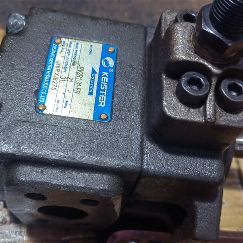 全新现货凯斯特PV2R1-31-FR叶片O泵油泵液压泵原装质保