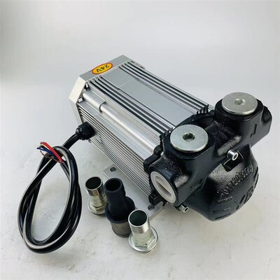 无刷直流防爆泵 直流无刷泵 无刷油泵 BRUSHLEGSS DC OILGear Pum