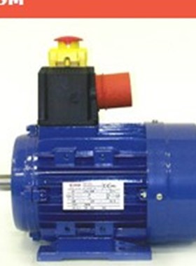 进口意大利ELVEM电机 进口ELVEM三相异步6XMK71B4 0.37KW 刹车电