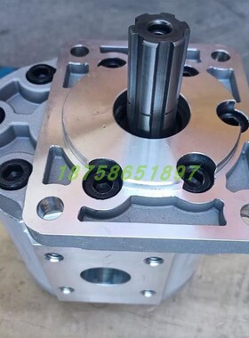 WANY合肥皖液液压齿轮油泵CBN-F56X3-BFHL