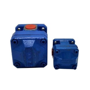 R6.3双联泵体GPA3 上海机床厂内啮合齿轮泵GPA1