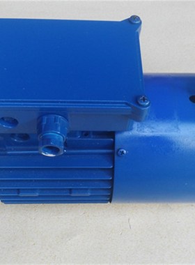 瑞典原装进口BEVI电机 原装BEVI三相异步电机SEVA-TEC电机TE.CMOB