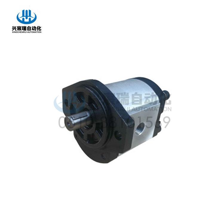 齿轮泵RGP-3A RGP-2A-F6 RGP-2A-F8 RGP-2A-F10 RGP-2A-F12