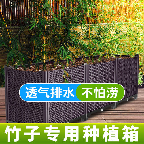 竹子专用花盆透气排水不怕涝钜惠