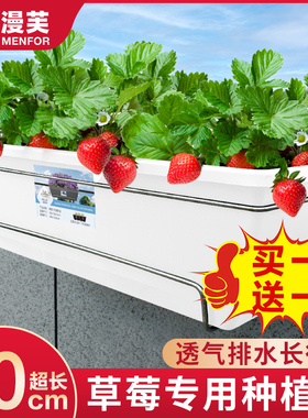 阳台草莓专用长方形种植盆网红挂式花盆塑料种菜霍伦盆栽家庭室外