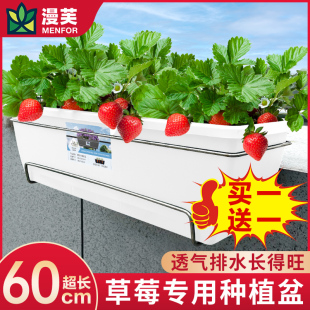 花盆塑料种菜霍伦盆栽家庭室外 阳台草莓专用长方形种植盆网红挂式