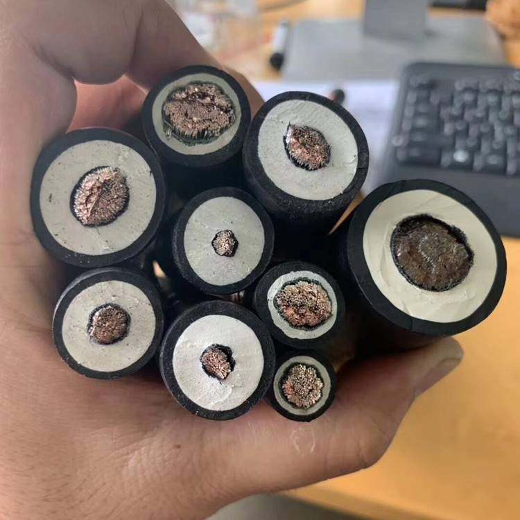 上海南洋电缆 纯铜芯镀锡 jbq70平方电机接引线 jxn电机引出线