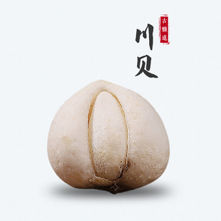 古慷道-正宗四川松潘贝母川贝松贝珍珠贝