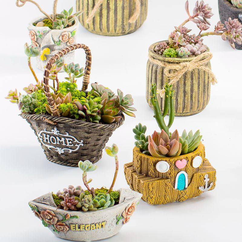 韩式创意小船篮子中大小号口径可爱拇指迷你多肉肉植物花盆水泥