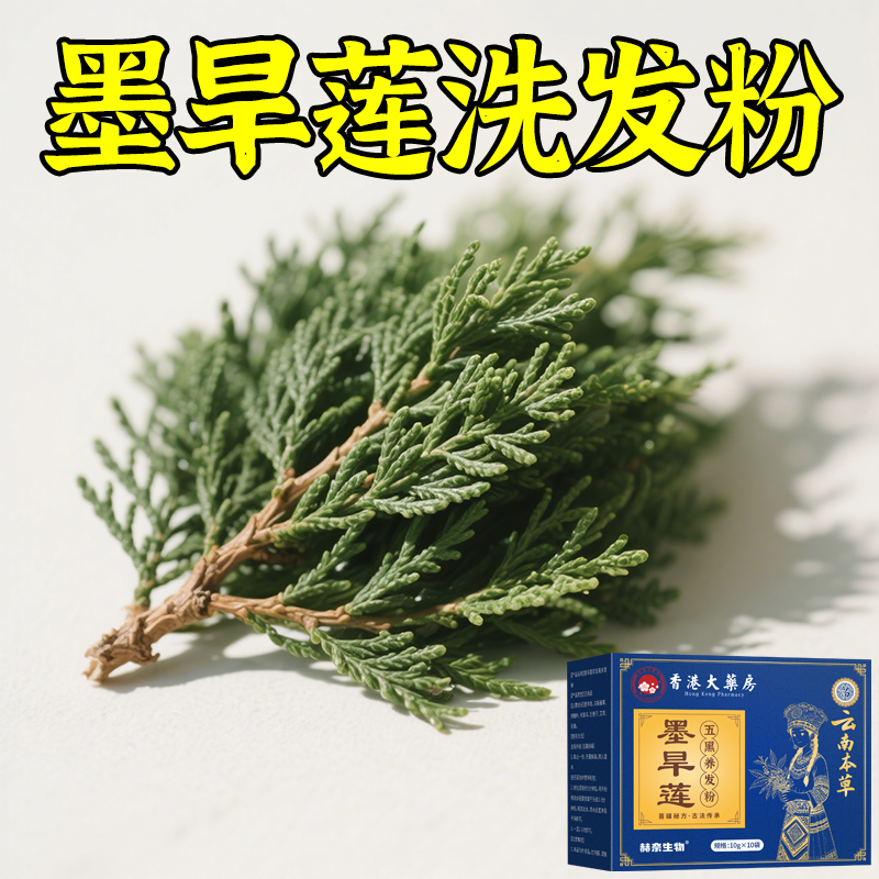【胖东来热销】老方侧柏叶粉洗头发养发草本纯植物墨旱莲何首乌粉
