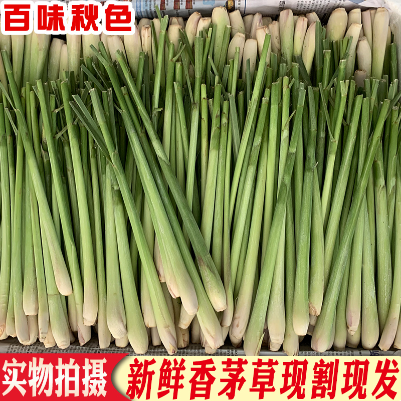 新鲜香茅草泰国冬阴功汤食材香草冷饮店柠檬草果茶 食用香料汤料