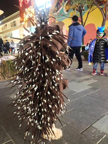 万圣节刺猬动物服装可爱搞怪衣服