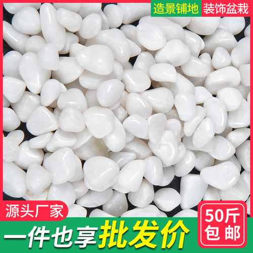 庭院白石子造景白色鹅卵石铺地