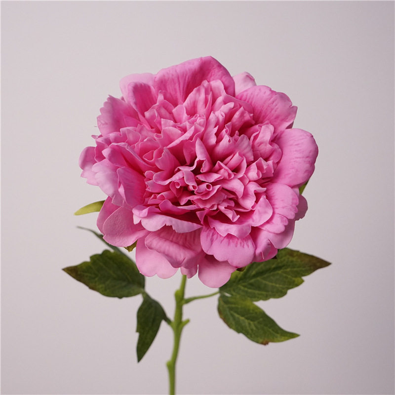 欧式仿真花单枝手感保湿