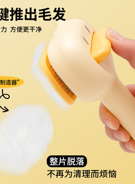 猫咪针梳宠物清洁美容洗