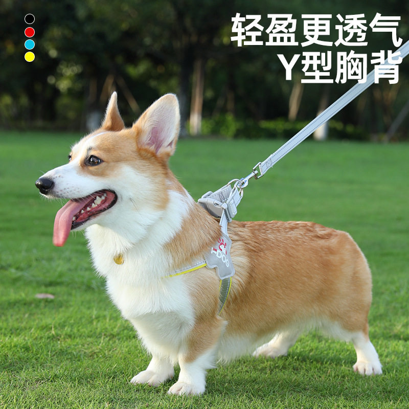 新款狗狗牵引绳胸背带背